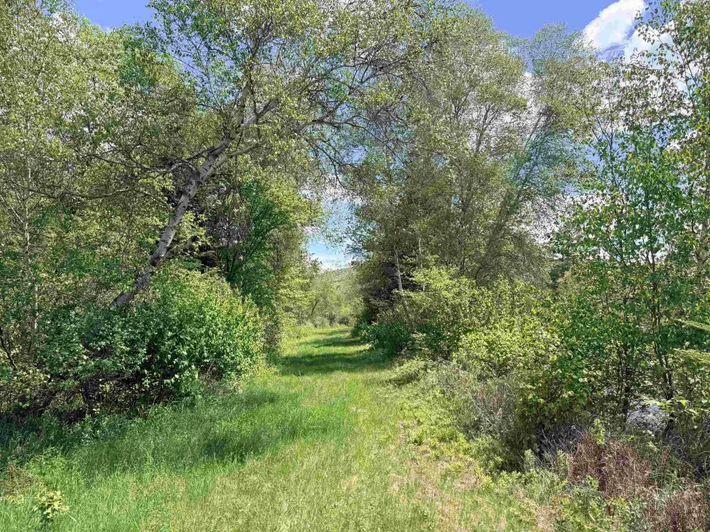 Picture 19