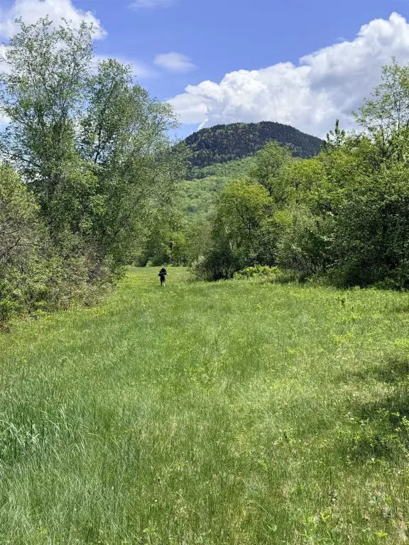 Picture 20