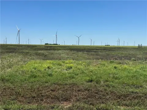 Land in Tynan, Texas