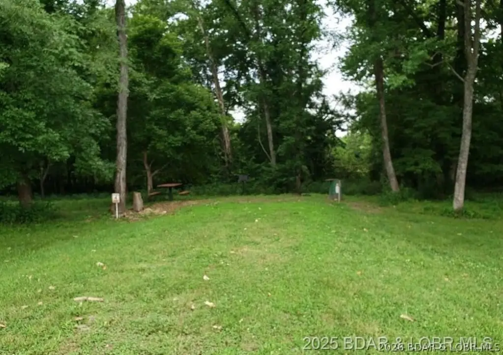 Picture 11
