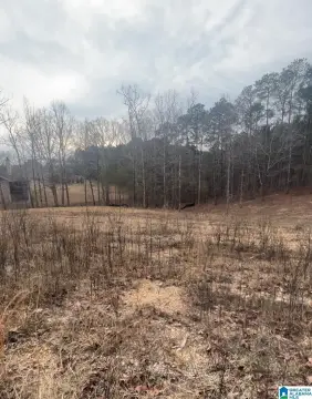ONEONTA, AL Lake View Lot