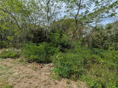 Holiday Island Land Opportunity