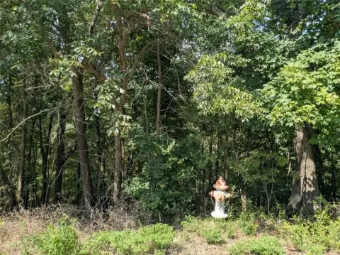 Holiday Island Land Opportunity