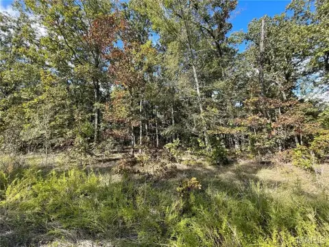 Poplar Bluff Land Opportunity