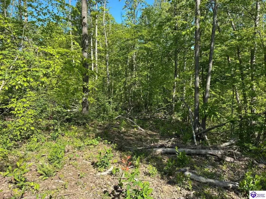 Picture 26