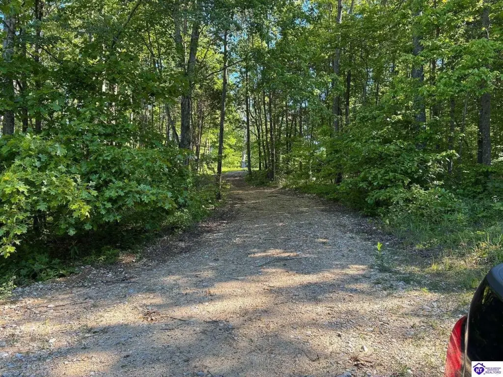 Picture 6