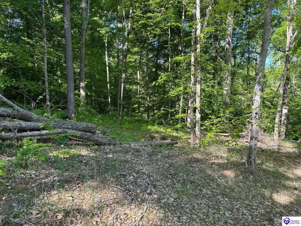 Picture 45