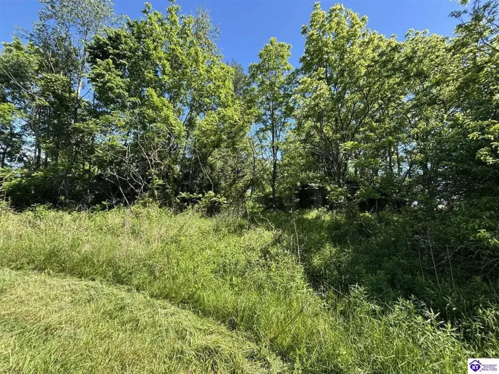 Picture 18