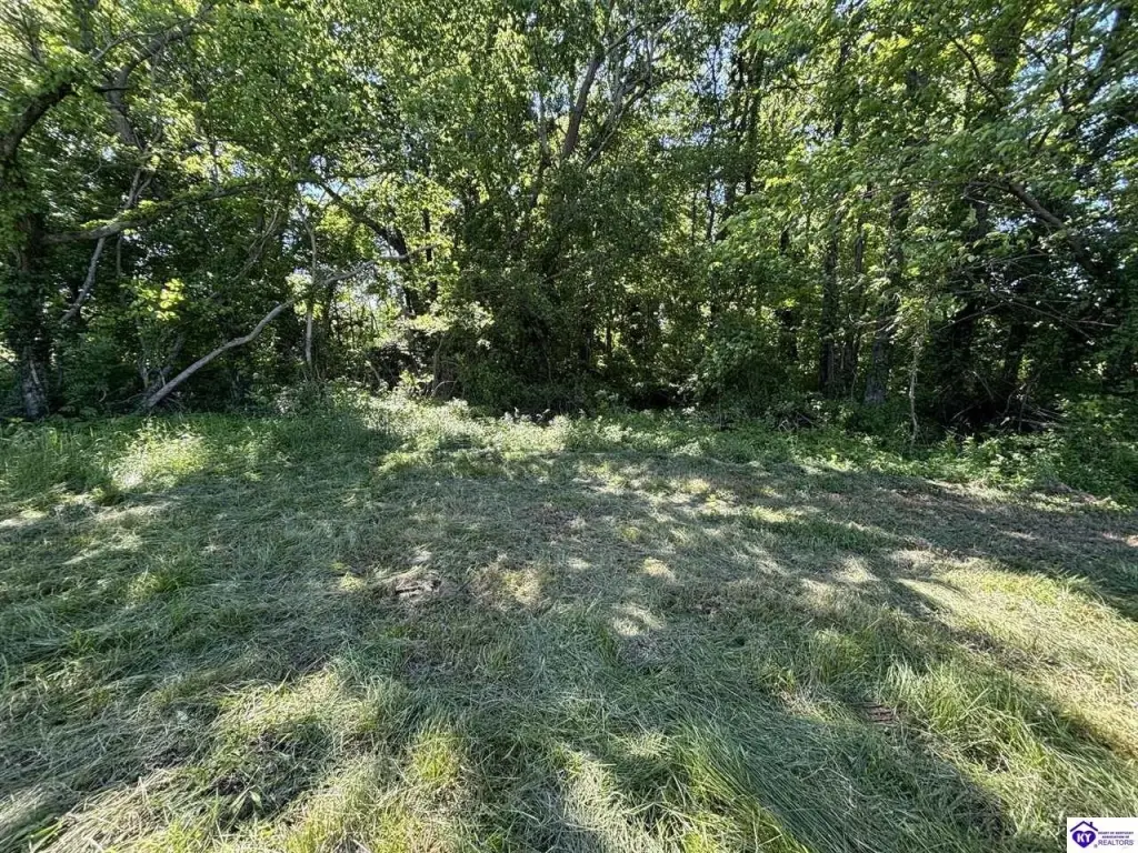 Picture 16