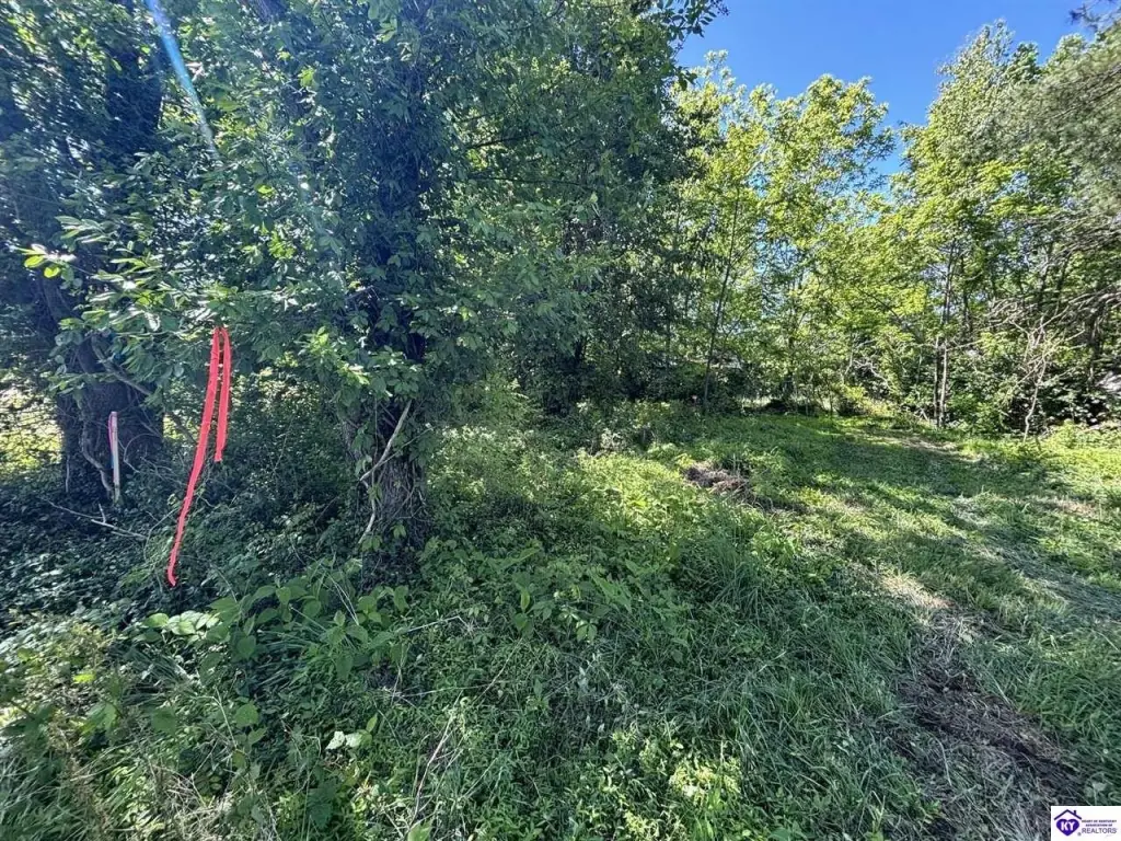 Picture 14