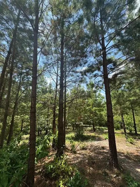 Picture 4