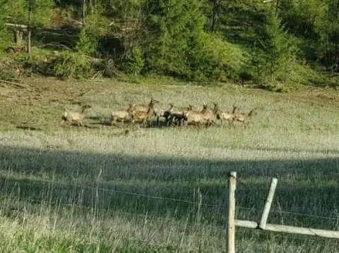 Remote Acreage with Southern Exposure