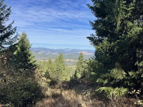 Secluded Acreage in Hunters, WA