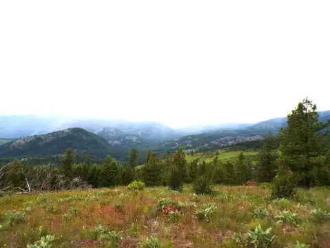 Remote Acreage with Lake Views