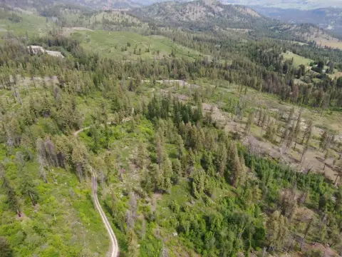 Kettle Falls Acreage Bordering Forest