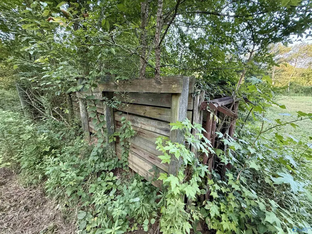 Picture 22