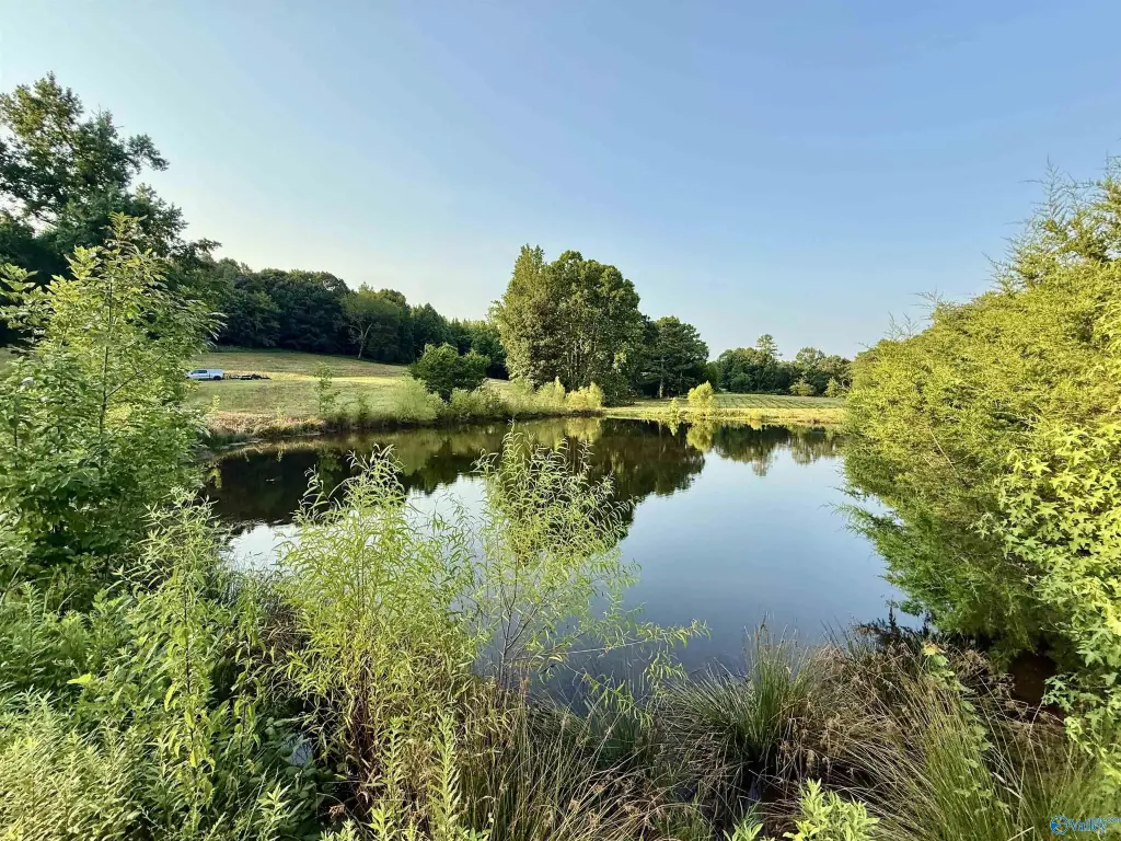 Picture 17