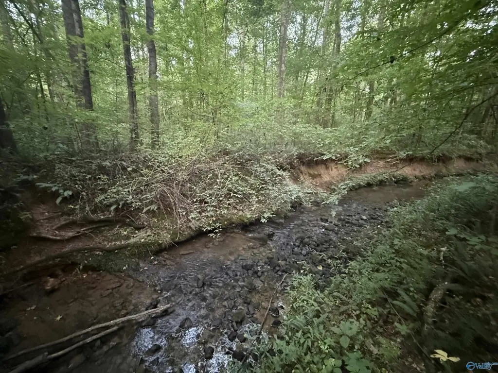Picture 46
