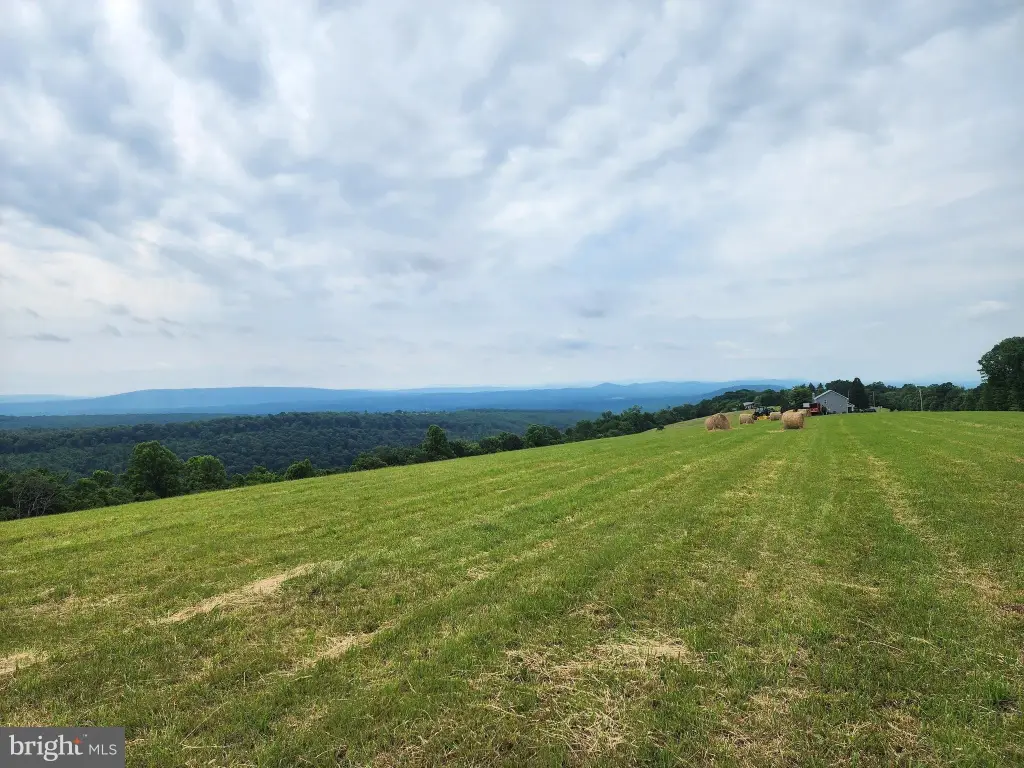 Picture 9