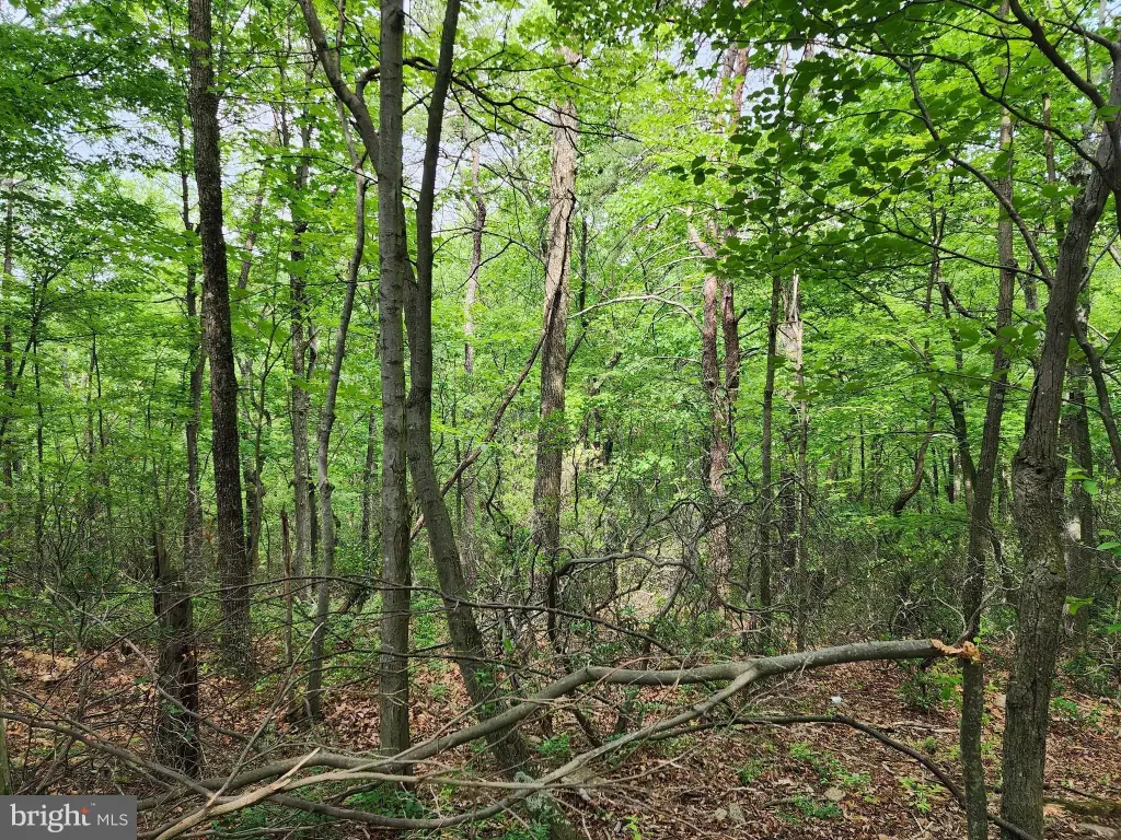 Picture 17