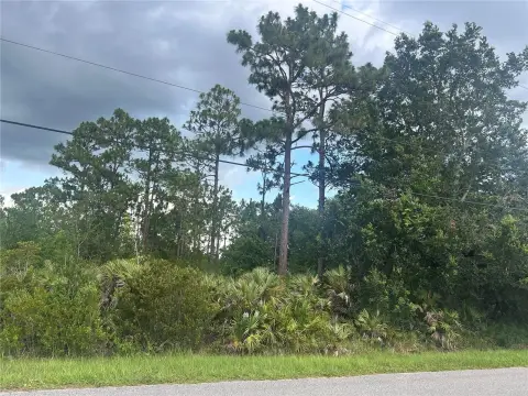 Vacant Land in Wedgefield, FL