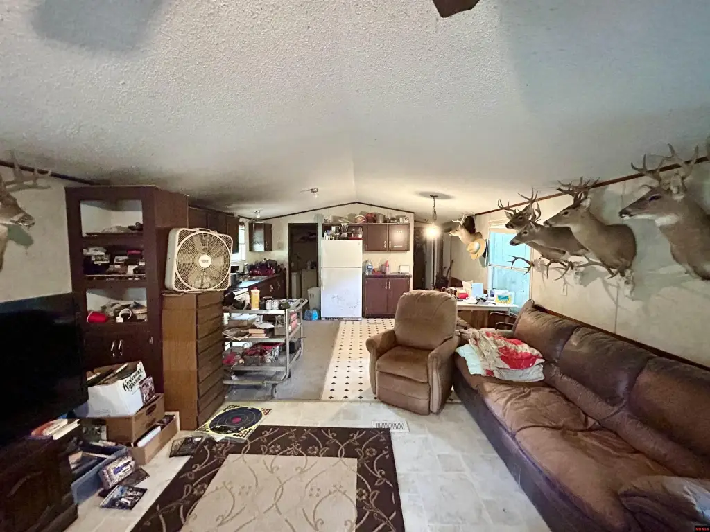 Picture 45