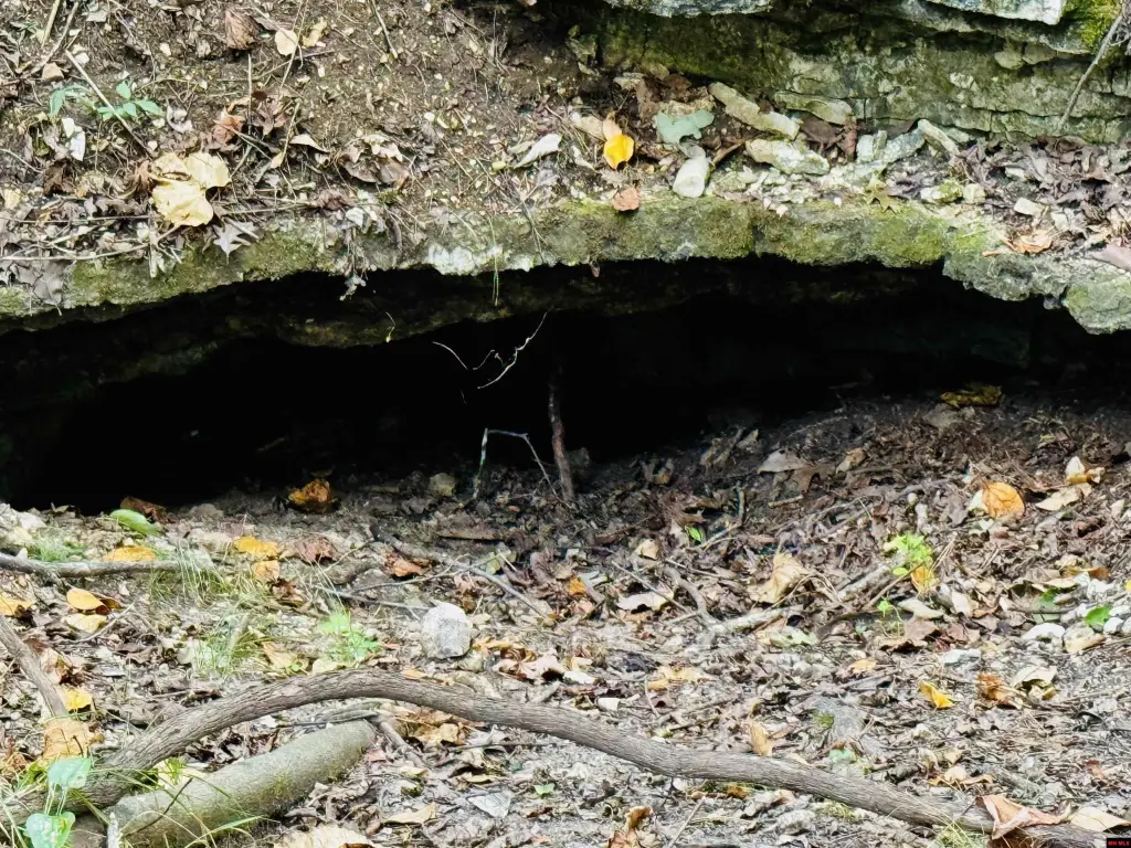 Picture 10
