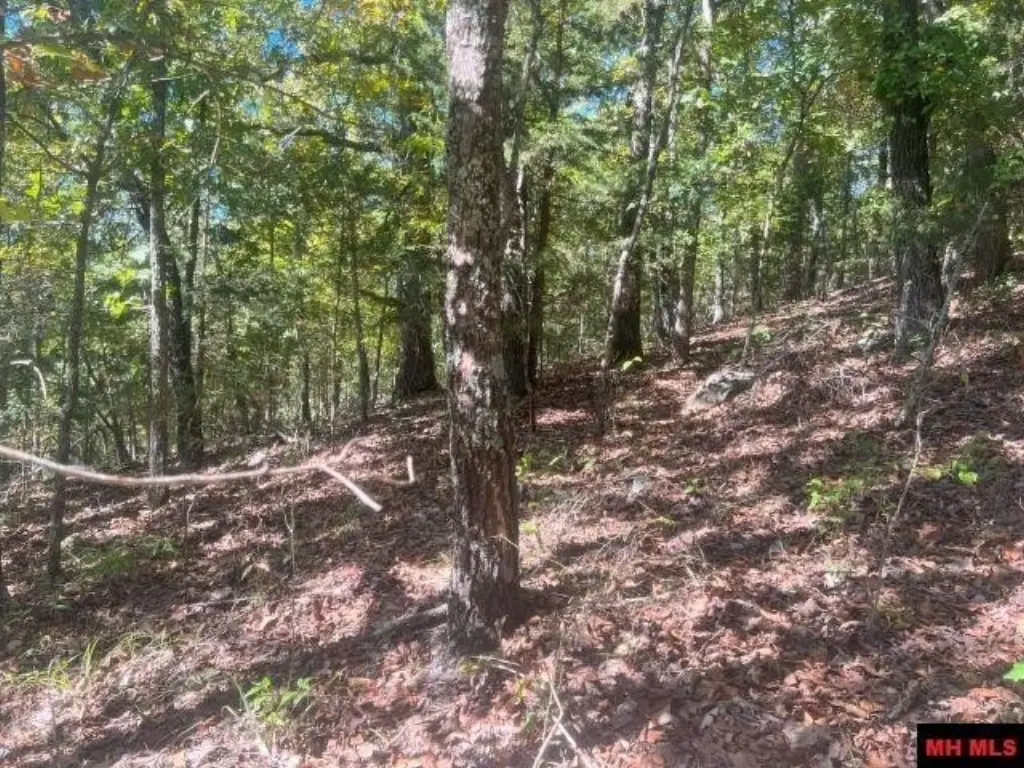 Picture 16
