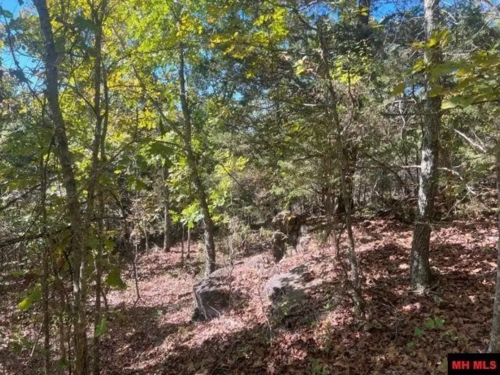 Picture 9