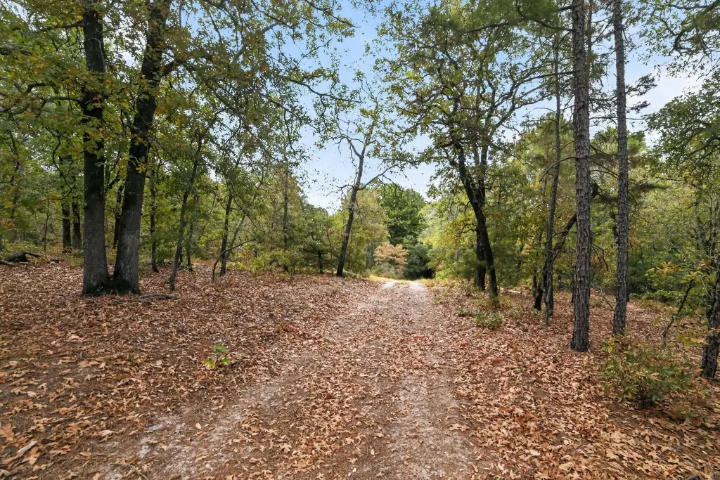 Picture 26