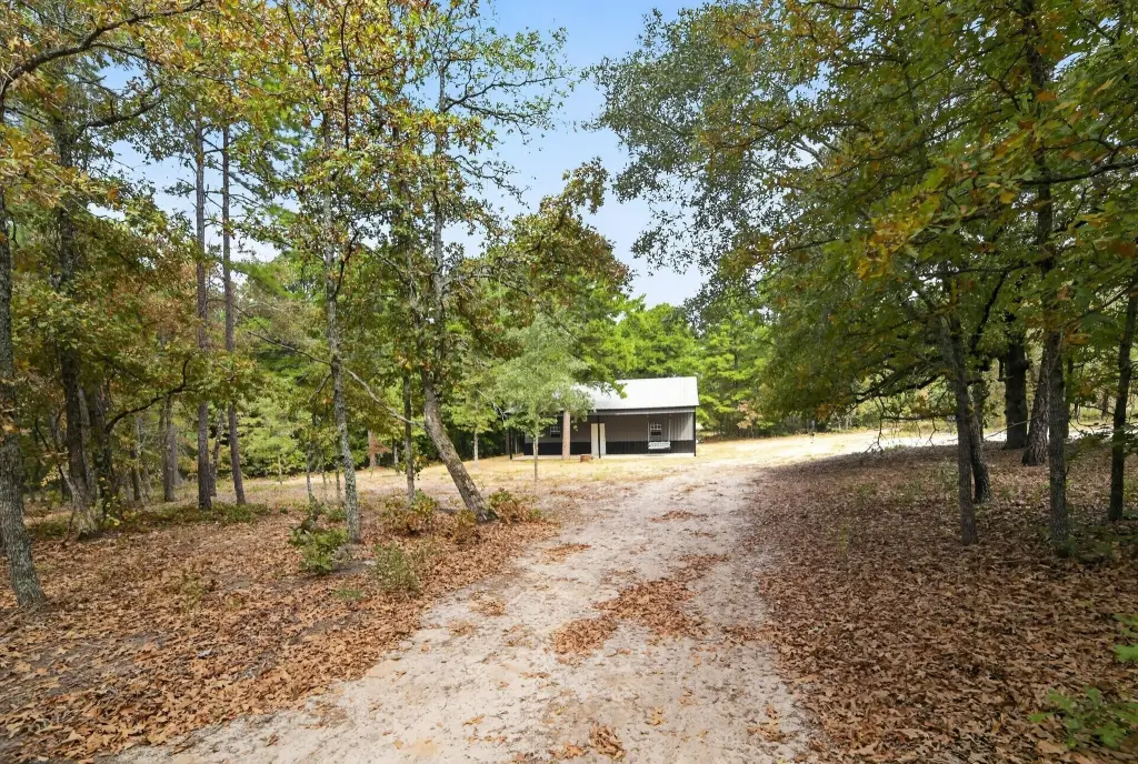 Picture 20