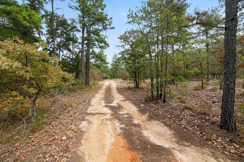 Picture 31