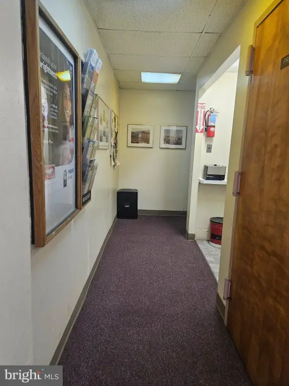 Picture 27
