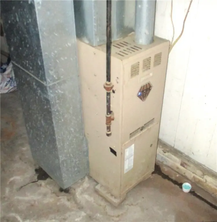 Picture 12