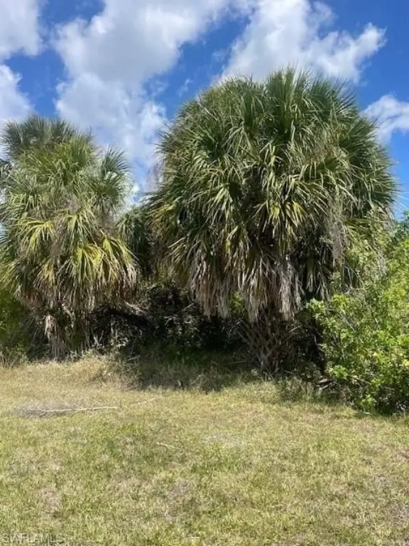 Picture 4