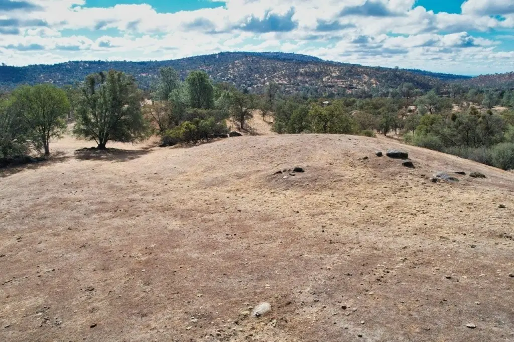 Picture 21