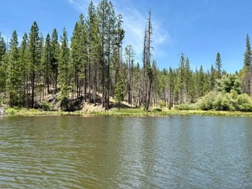 Picture 56
