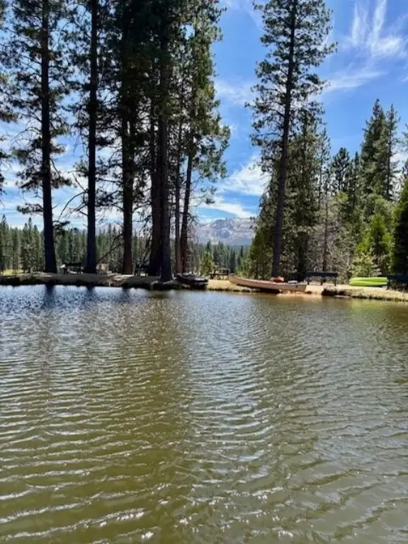 Picture 51