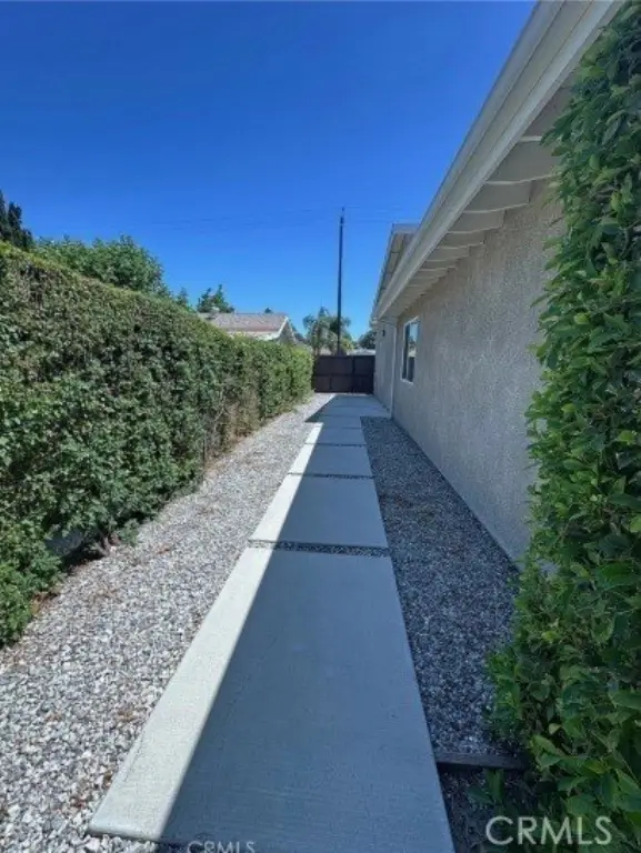 Picture 29