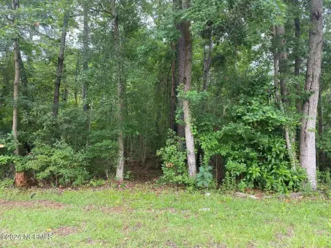 Wooded Lot Near Jacksonville