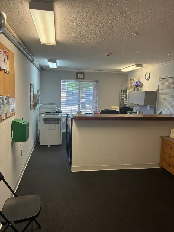 Picture 27