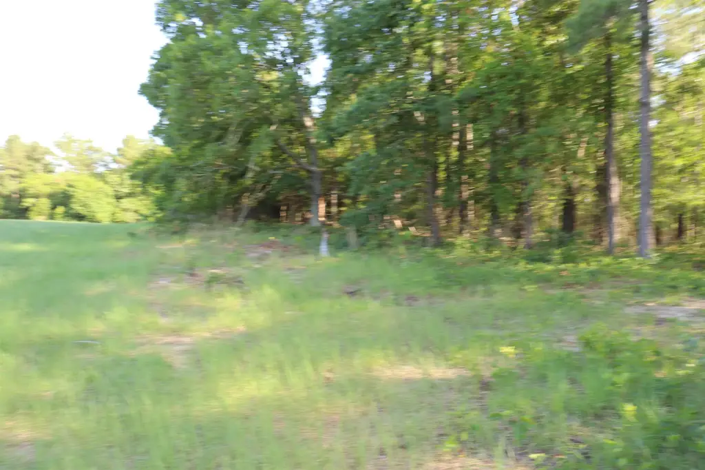 Picture 13