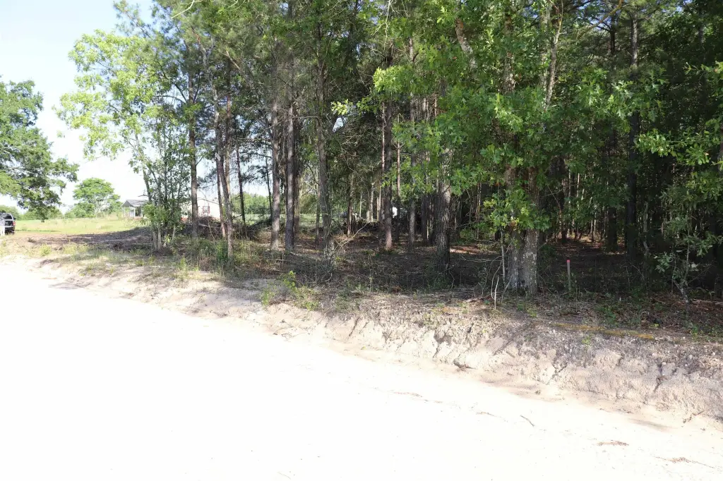 Picture 18