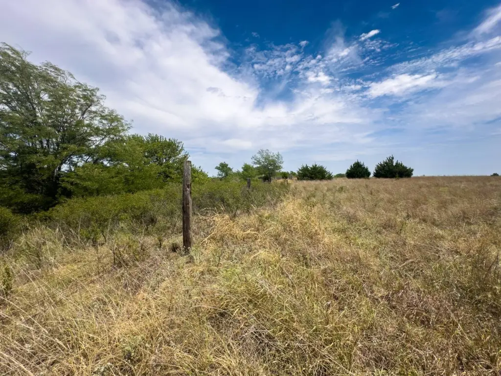 Picture 68