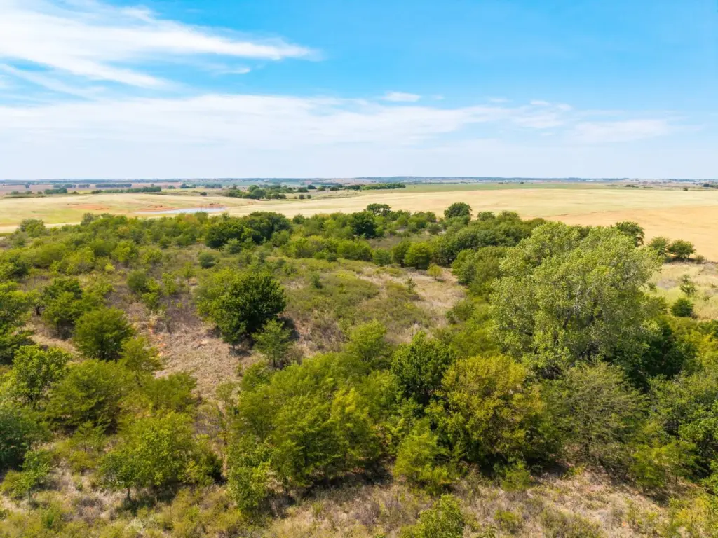 Picture 30
