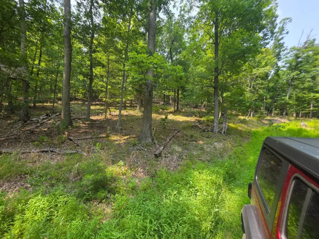 Picture 43