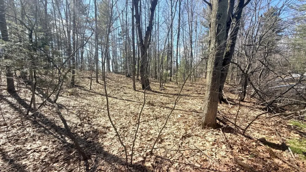 Picture 18