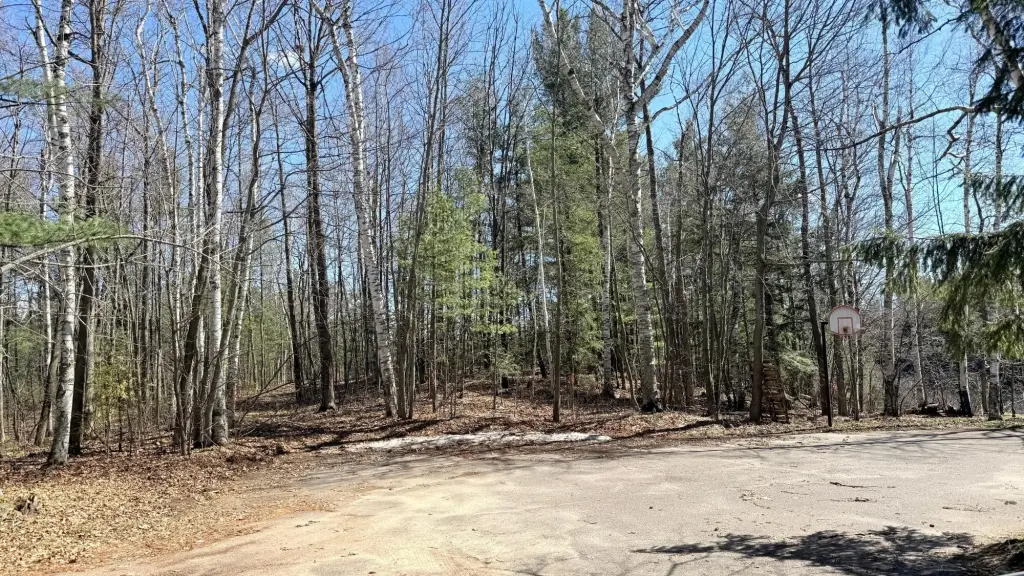 Picture 19