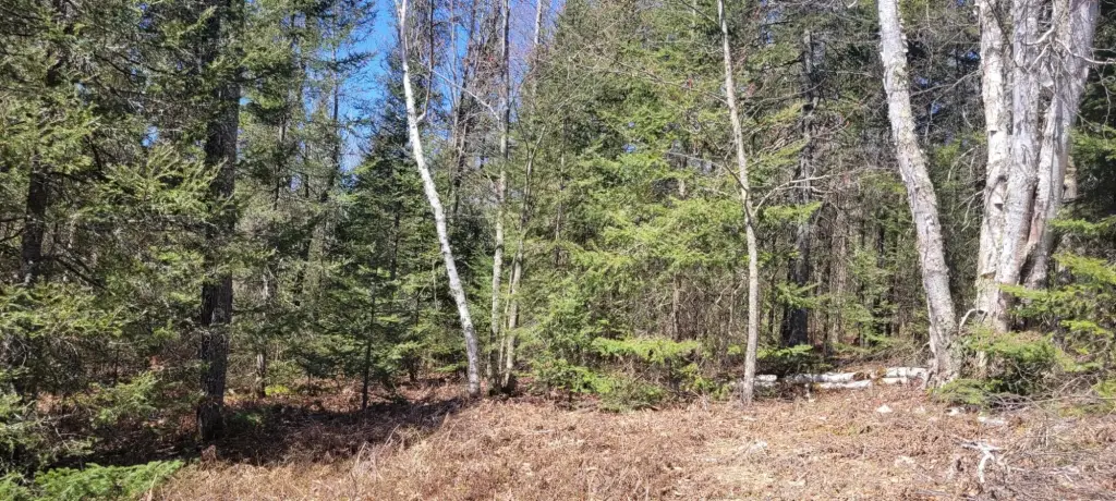 Picture 14