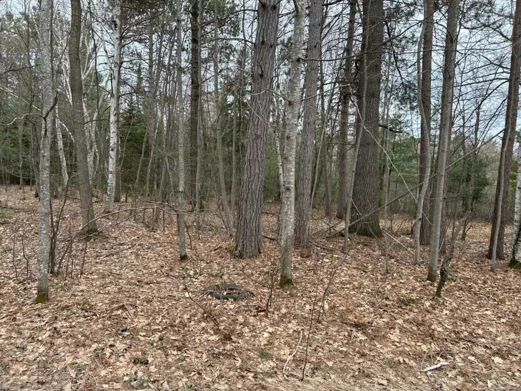 Picture 15